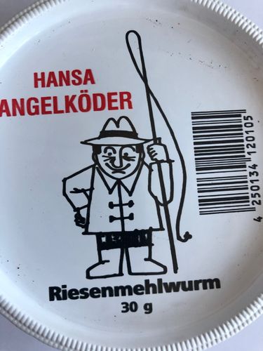 Hansa Riesenmehlwürmer 30g