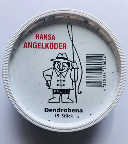 Hansa Dendrobena 15 Stück